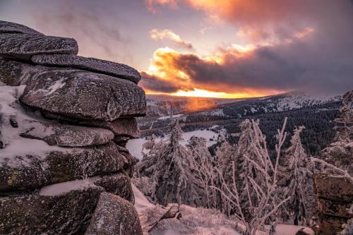 phpIUGRoY 2021 03 15 18 09 32-min