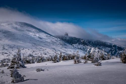 phpt73OWO 2021 03 15 18 11 30-min