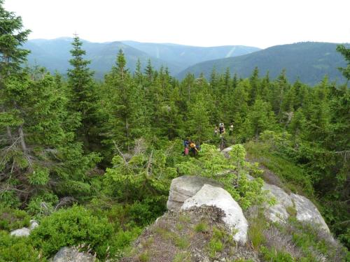 php6uhkFJ 2022 03 24 21 48 47