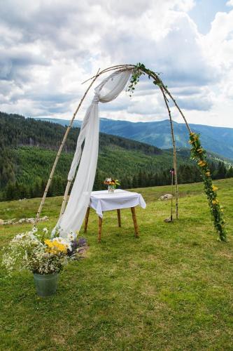 php4WU5zg 2021 12 02 19 08 28