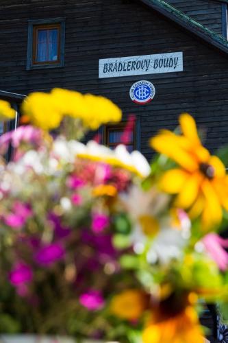 php50vTWO 2021 12 02 19 08 28